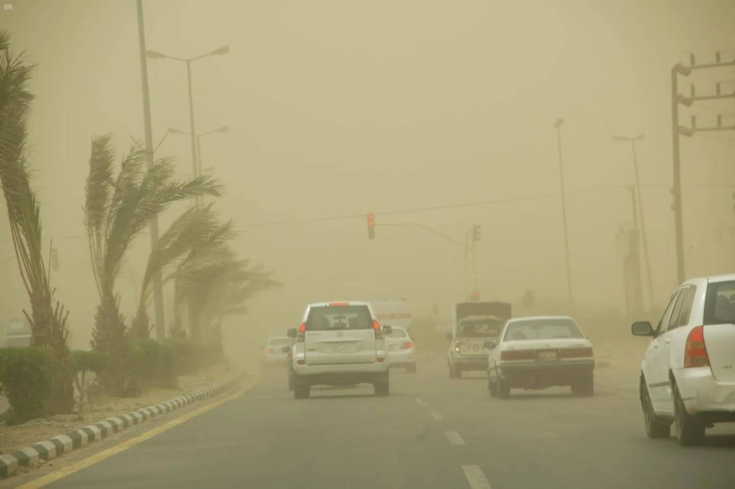 %d9%85%d8%a8%d8%a7%d8%af%d8%b1%d8%a9 %d8%a7%d9%84%d8%b3%d8%b9%d9%88%d8%af%d9%8a%d8%a9 %d8%a7%d9%84%d8%ae%d8%b6%d8%b1%d8%a7%d8%a1 %d8%aa%d8%aa%d8%b1%d8%a7%d8%ac%d8%b9 %d8%a8%d8%a7%d9%84