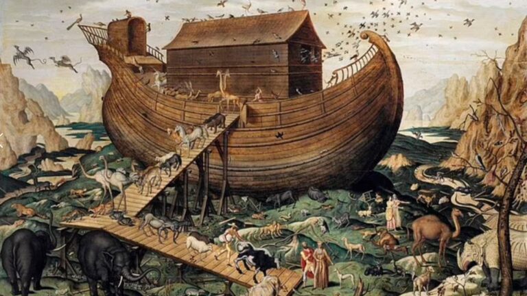 %d8%b9%d9%84%d9%85%d8%a7%d8%a1 %d8%b9%d8%ab%d8%b1%d9%86%d8%a7 %d8%b9%d9%84%d9%89 %d8%b3%d9%81%d9%8a%d9%86%d8%a9 %d9%86%d9%88%d8%ad %d8%a7%d9%84%d8%aa%d9%8a %d8%a3%d9%86%d9%82%d8%b0%d8%aa %d8%a7