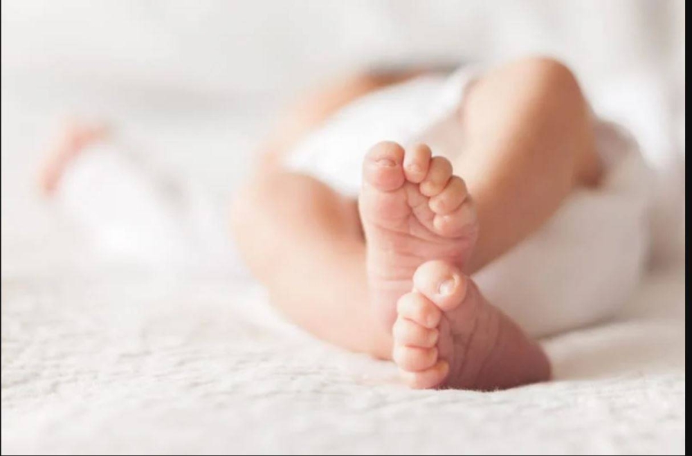 %d8%a5%d9%8a%d8%b7%d8%a7%d9%84%d9%8a%d8%a7 %d8%aa%d9%87%d8%b1%d9%8a%d8%a8 %d8%b1%d8%b6%d9%8a%d8%b9%d8%a9 %d9%81%d9%8a %d8%ad%d9%82%d9%8a%d8%a8%d8%a9 %d8%aa%d8%b3%d9%88%d9%82