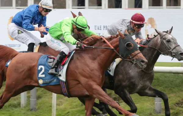 %d8%a3%d8%ac%d9%86%d8%af%d8%a9 %d8%a7%d9%84%d9%86%d8%b3%d8%ae%d8%a9 %d8%a7%d9%84%d9%80 32 %d9%85%d9%86 %d9%83%d8%a3%d8%b3 %d8%b1%d8%a6%d9%8a%d8%b3 %d8%a7%d9%84%d8%a5%d9%85%d8%a7%d8%b1%d8%a7%d8%aa