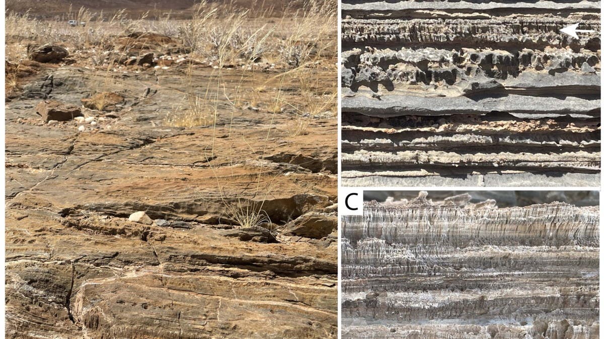 %d9%83%d8%b4%d9%81 %d8%b9%d9%84%d9%85%d9%8a %d8%ba%d8%b1%d9%8a%d8%a8 %d9%83%d8%a7%d8%a6%d9%86%d8%a7%d8%aa %d8%ba%d8%a7%d9%85%d8%b6%d8%a9 %d8%ad%d9%81%d8%b1%d8%aa %d8%a3%d9%86%d9%81%d8%a7%d9%82%d8%a7