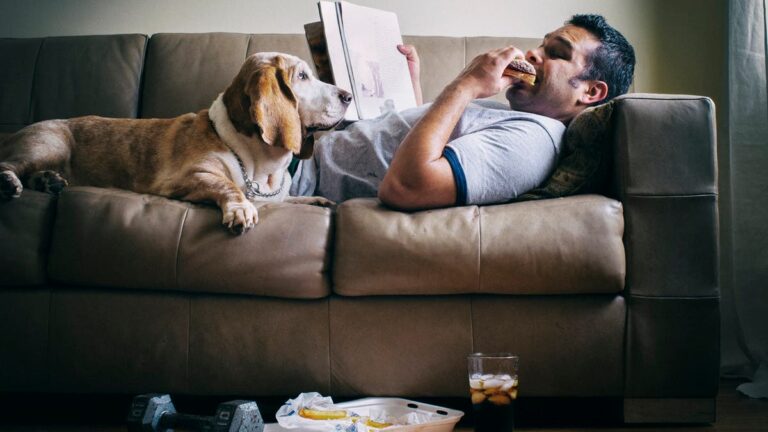 %d9%8a%d8%aa%d8%b4%d8%a7%d8%b1%d9%83%d9%87 %d8%a7%d9%84%d8%a8%d8%b4%d8%b1 %d9%88%d8%a7%d9%84%d9%83%d9%84%d8%a7%d8%a8 %d8%ac%d9%8a%d9%86 Dennd1b %d9%85%d8%b3%d8%a4%d9%88%d9%84 %d8%b9%d9%86 %d8%a7