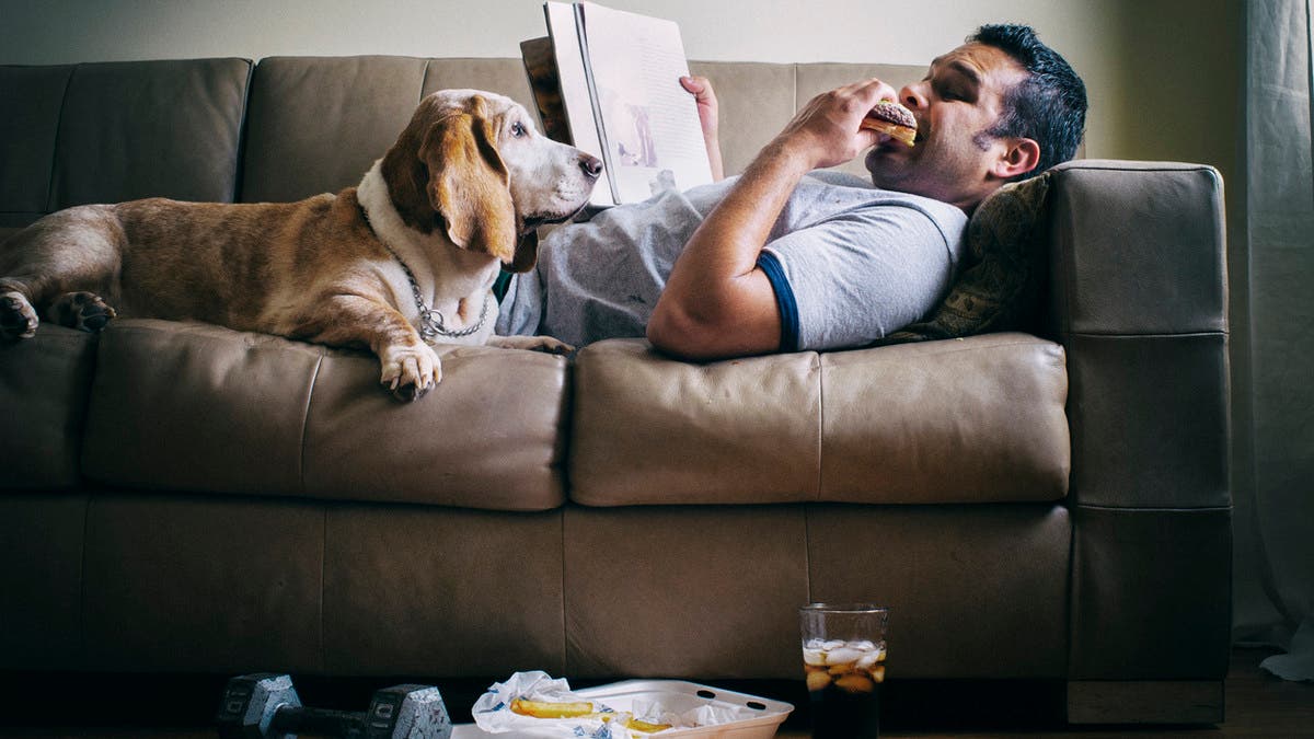 %d9%8a%d8%aa%d8%b4%d8%a7%d8%b1%d9%83%d9%87 %d8%a7%d9%84%d8%a8%d8%b4%d8%b1 %d9%88%d8%a7%d9%84%d9%83%d9%84%d8%a7%d8%a8 %d8%ac%d9%8a%d9%86 Dennd1b %d9%85%d8%b3%d8%a4%d9%88%d9%84 %d8%b9%d9%86 %d8%a7