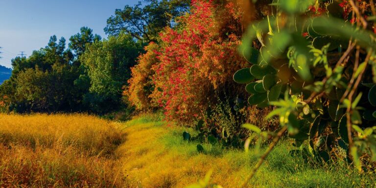 %d8%a8%d9%81%d8%b9%d8%a7%d9%84%d9%8a%d8%a7%d8%aa %d9%85%d8%a8%d8%aa%d9%83%d8%b1%d8%a9 %d8%a7%d9%84%d9%85%d9%85%d9%84%d9%83%d8%a9 %d8%aa%d8%ad%d8%aa%d9%81%d9%8a %d8%a8%d9%8a%d9%88%d9%85 %d9%85%d8%a8