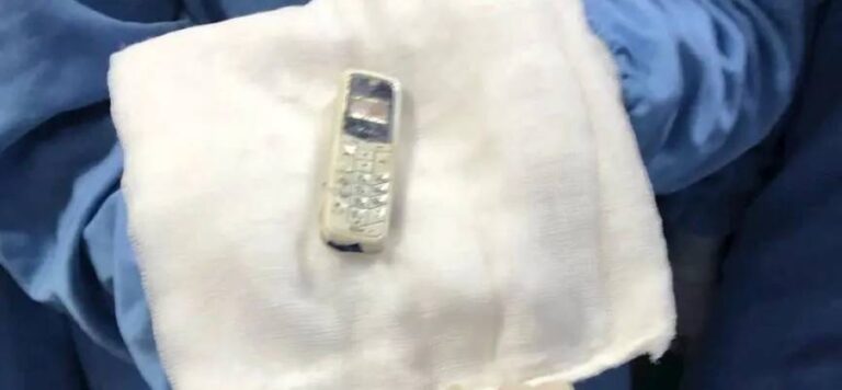 %d8%b8%d9%84 %d9%85%d9%84%d9%81%d9%88%d9%81%d8%a7%d9%8b %d8%af%d8%a7%d8%ae%d9%84 %d9%83%d9%8a%d8%b3 %d9%84%d9%80 6 %d8%a3%d8%b9%d9%88%d8%a7%d9%85 %d8%a7%d8%b3%d8%aa%d8%ae%d8%b1%d8%a7%d8%ac %d8%ac