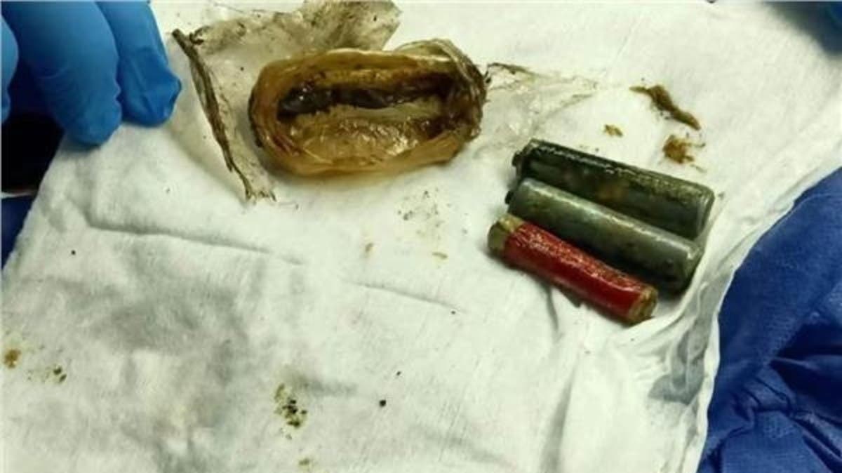 %d9%85%d8%b5%d8%b1 %d8%a5%d8%ae%d8%b1%d8%a7%d8%ac 3 %d8%a8%d8%b7%d8%a7%d8%b1%d9%8a%d8%a7%d8%aa %d9%85%d9%86 %d9%85%d8%b9%d8%af%d8%a9 %d9%85%d8%b1%d9%8a%d8%b6 %d8%a8%d9%82%d9%8a%d8%aa %d8%af%d8%a7