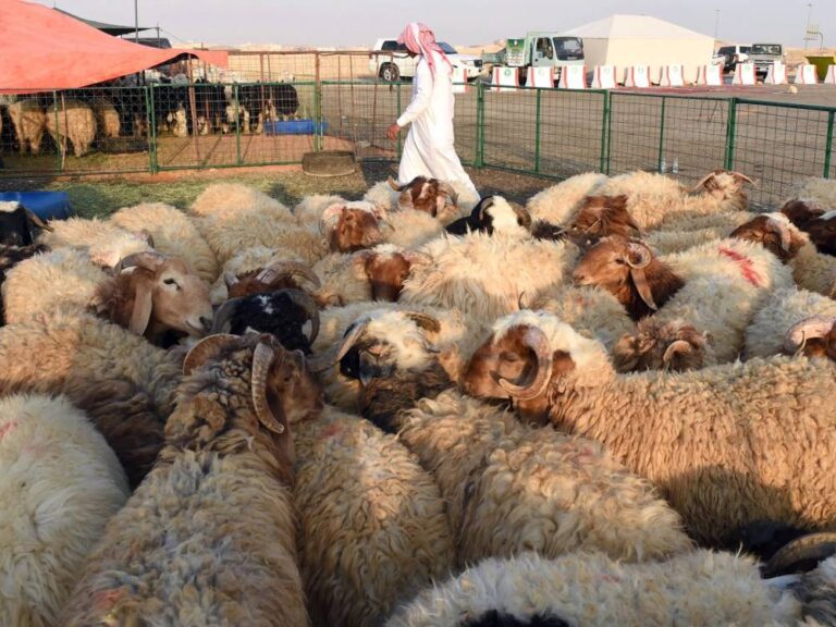 1 2 %d9%85%d9%84%d9%8a%d8%a7%d8%b1 %d8%b1%d9%8a%d8%a7%d9%84 %d9%82%d8%b1%d9%88%d8%b6 %d8%b3%d8%b9%d9%88%d8%af%d9%8a%d8%a9 %d9%84%d8%af%d8%b9%d9%85 %d9%88%d8%aa%d8%b7%d9%88%d9%8a%d8%b1 %d9%85%d8%b4