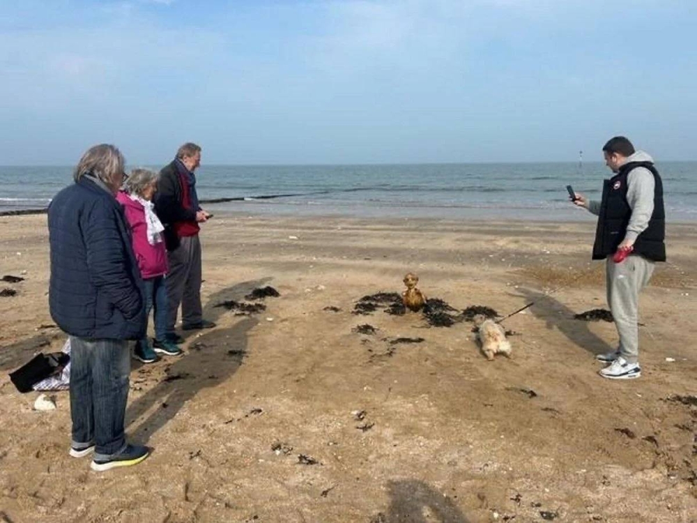 %d8%ad%d9%88%d8%b1%d9%8a%d8%a9 %d8%a3%d9%85 %d9%84%d8%ba%d8%b2 %d8%a8%d8%ad%d8%b1%d9%8a%d8%9f %d9%87%d9%8a%d9%83%d9%84 %d8%ba%d8%a7%d9%85%d8%b6 %d9%8a%d8%ab%d9%8a%d8%b1 %d8%a7%d9%84%d8%ac%d8%af