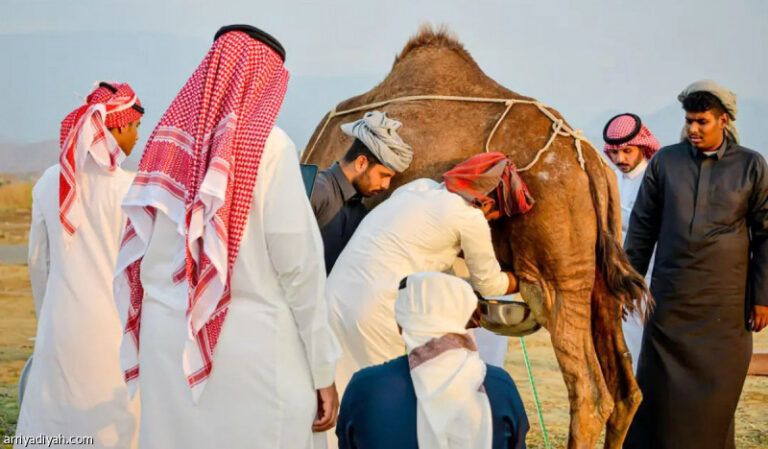 %d8%a7%d9%84%d8%b5%d8%b9%d9%8a%d8%b1%d9%8a %d9%8a%d9%81%d9%88%d8%b2 %d8%a8%d9%85%d8%b3%d8%a7%d8%a8%d9%82%d8%a9 %d9%85%d8%ad%d8%a7%d9%84%d8%a8%d8%a9 %d8%a7%d9%84%d8%a5%d8%a8%d9%84