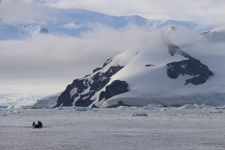 %d9%85%d8%b4%d8%b1%d9%88%d8%b9 %d8%b3%d8%b9%d9%88%d8%af%d9%8a %d9%84%d8%aa%d8%b9%d8%b2%d9%8a%d8%b2 %d8%a5%d8%b2%d8%a7%d9%84%d8%a9 %d8%a7%d9%84%d9%83%d8%b1%d8%a8%d9%88%d9%86 %d9%81%d9%8a %d8%a7%d9%84