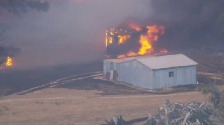 %d8%a7%d9%84%d8%b9%d8%a7%d9%85 %d8%a7%d9%84%d8%a3%d9%83%d8%ab%d8%b1 %d8%ad%d8%b1%d8%a7%d9%8b %d8%ad%d8%b1%d8%a7%d8%a6%d9%82 %d9%83%d9%88%d8%b1%d9%8a%d8%a7 %d8%a7%d9%84%d8%ac%d9%86%d9%88%d8%a8%d9%8a