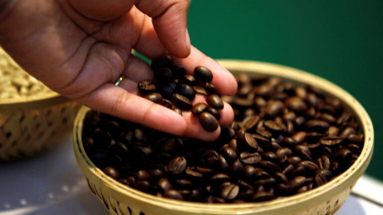 %d8%b9%d9%84%d9%85%d8%a7%d8%a1 %d9%8a%d8%b3%d8%aa%d8%ae%d8%af%d9%85%d9%88%d9%86 %d8%a7%d9%84%d9%82%d9%87%d9%88%d8%a9 %d9%81%d9%8a %d8%b5%d9%86%d8%b9 %d8%ae%d8%b1%d8%b3%d8%a7%d9%86%d8%a9 %d8%a3%d9%82