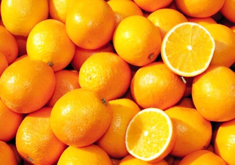 %d8%a7%d9%84%d8%a8%d8%b1%d8%aa%d9%82%d8%a7%d9%84 %d9%8a%d9%8f%d9%82%d9%84%d9%84 %d9%85%d9%86 %d8%a7%d9%84%d8%a7%d9%83%d8%aa%d8%a6%d8%a7%d8%a8 %20