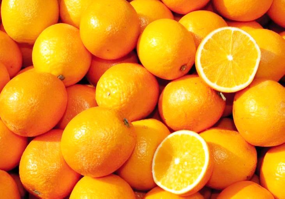 %d8%a7%d9%84%d8%a8%d8%b1%d8%aa%d9%82%d8%a7%d9%84 %d9%8a%d9%8f%d9%82%d9%84%d9%84 %d9%85%d9%86 %d8%a7%d9%84%d8%a7%d9%83%d8%aa%d8%a6%d8%a7%d8%a8 %20