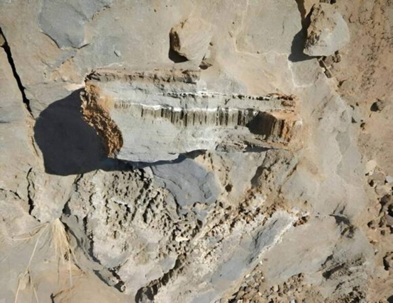 %d8%a7%d9%83%d8%aa%d8%b4%d8%a7%d9%81 %d9%85%d8%b0%d9%87%d9%84 %d8%a2%d8%ab%d8%a7%d8%b1 %d8%ad%d9%8a%d8%a7%d8%a9 %d9%85%d8%ac%d9%87%d8%b1%d9%8a%d8%a9 %d9%81%d9%8a %d8%b5%d8%ae%d9%88%d8%b1