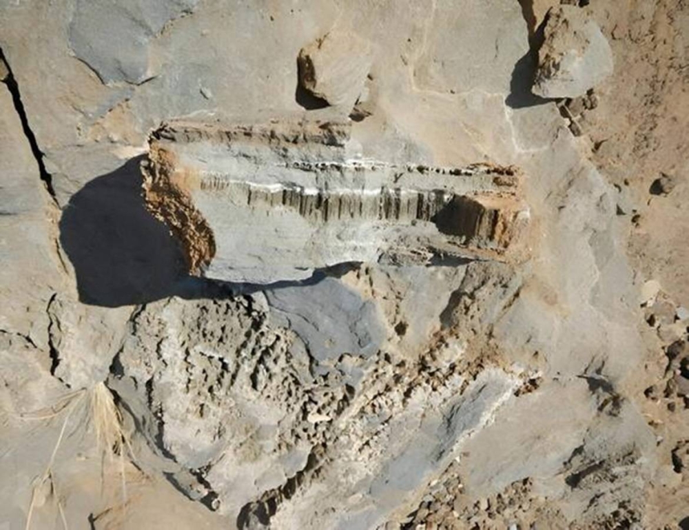 %d8%a7%d9%83%d8%aa%d8%b4%d8%a7%d9%81 %d9%85%d8%b0%d9%87%d9%84 %d8%a2%d8%ab%d8%a7%d8%b1 %d8%ad%d9%8a%d8%a7%d8%a9 %d9%85%d8%ac%d9%87%d8%b1%d9%8a%d8%a9 %d9%81%d9%8a %d8%b5%d8%ae%d9%88%d8%b1