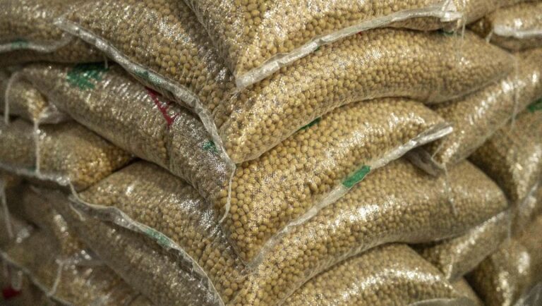 %d8%b5%d8%a7%d8%af%d8%b1%d8%a7%d8%aa %d8%a3%d9%85%d8%b1%d9%8a%d9%83%d8%a7 %d8%a7%d9%84%d8%b2%d8%b1%d8%a7%d8%b9%d9%8a%d8%a9 %d9%81%d9%8a %d9%85%d9%87%d8%a8 %d8%a7%d9%84%d8%b9%d9%82%d9%88%d8%a8%d8%a7