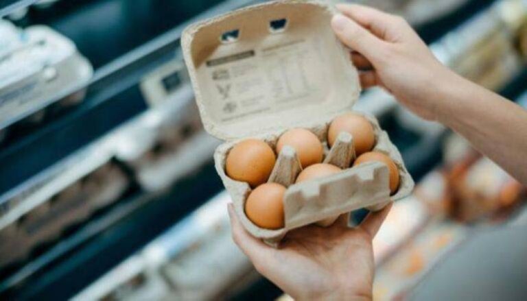 %d8%a3%d8%b2%d9%85%d8%a9 %d8%a7%d9%84%d8%a8%d9%8a%d8%b6 %d8%aa%d8%aa%d8%b5%d8%a7%d8%b9%d8%af %d9%81%d9%8a %d8%a3%d9%85%d8%b1%d9%8a%d9%83%d8%a7 %d9%81%d9%86%d9%84%d9%86%d8%af%d8%a7 %d8%aa