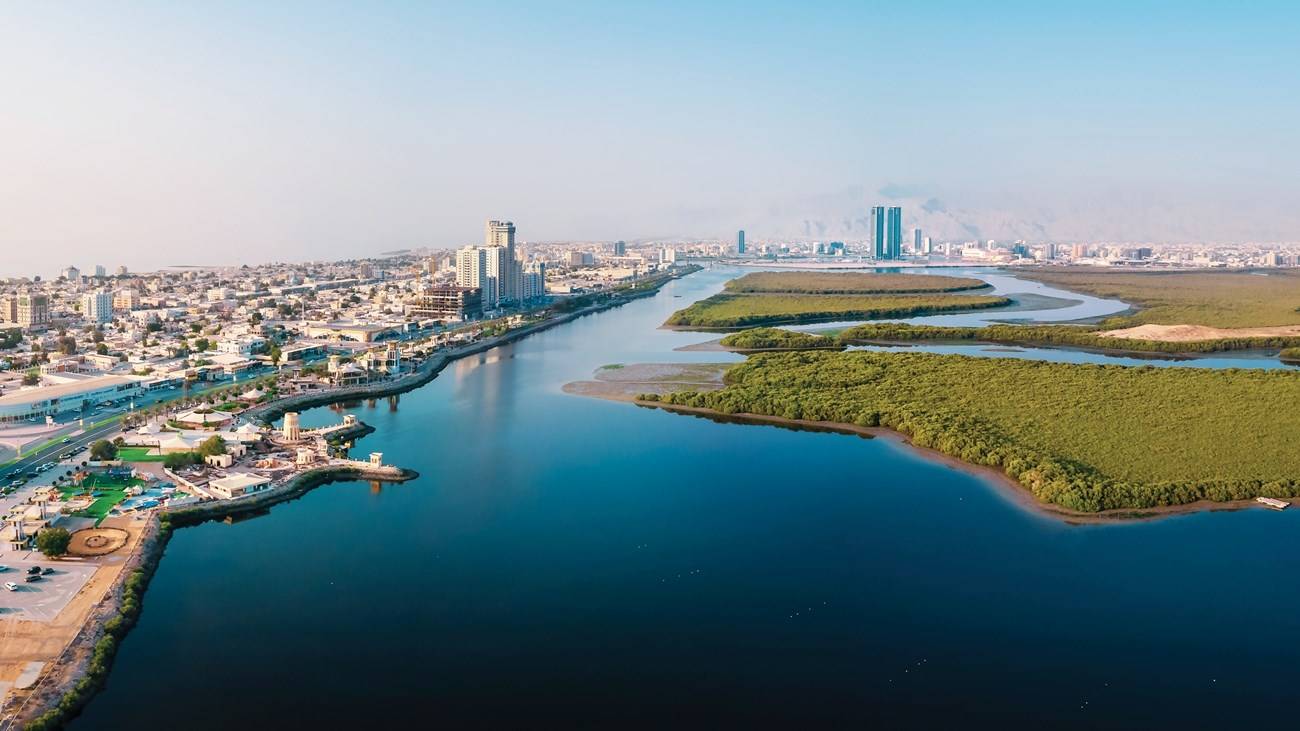 150 %d8%b4%d8%b1%d9%83%d8%a9 %d8%b3%d8%b9%d9%88%d8%af%d9%8a%d8%a9 %d8%aa%d8%b9%d9%85%d9%84 %d9%81%d9%8a %d8%b9%d8%af%d8%a9 %d9%82%d8%b7%d8%a7%d8%b9%d8%a7%d8%aa %d8%a8%d9%85%d9%86%d8%b7%d9%82%d8%a9