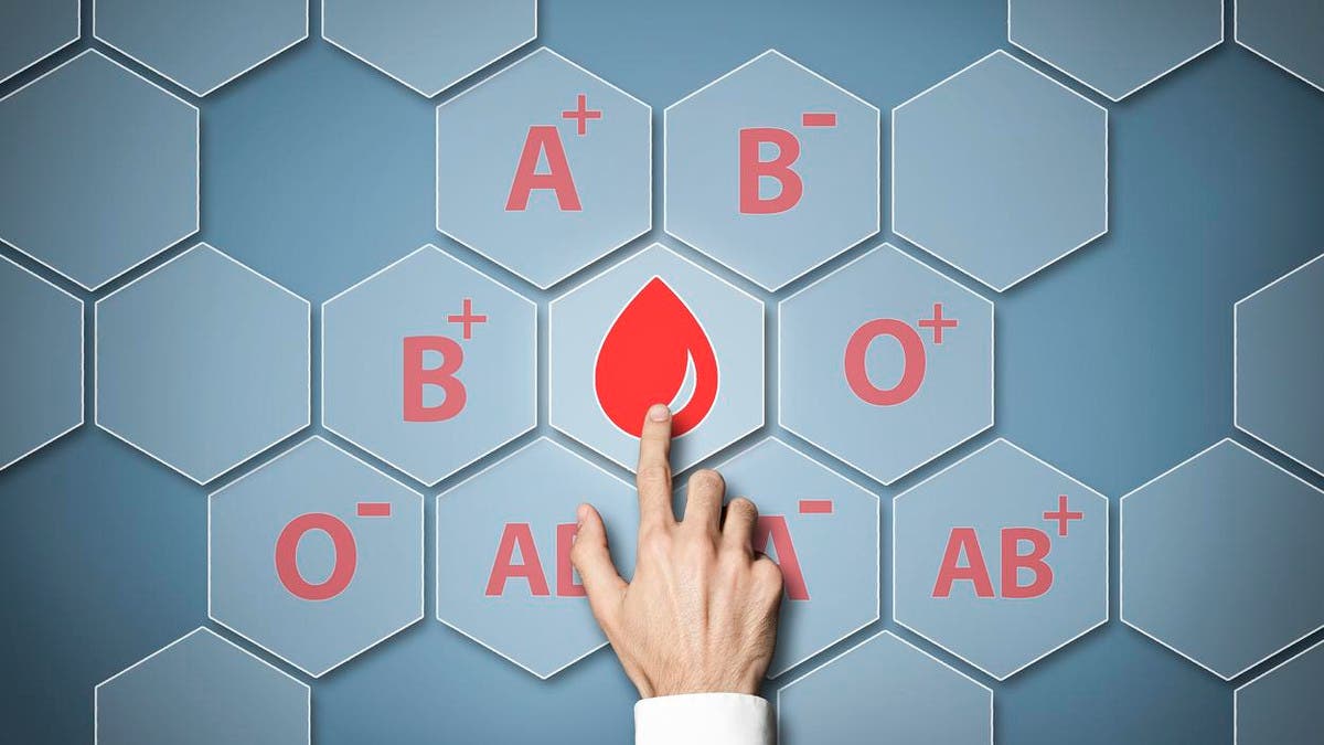 %d9%81%d8%b5%d9%8a%d9%84%d8%a9 %d8%af%d9%85 %d8%a3%d8%b5%d8%ad%d8%a7%d8%a8%d9%87%d8%a7 %d8%a3%d9%82%d9%84 %d8%b9%d8%b1%d8%b6%d8%a9 %d9%84%d9%84%d9%86%d9%88%d8%a8%d8%a7%d8%aa %d8%a7%d9%84%d9%82%d9%84