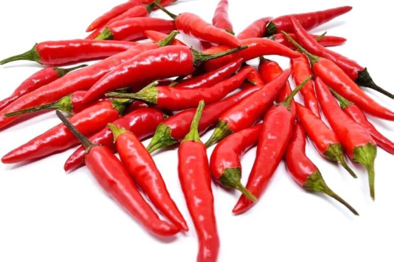 %d8%a7%d9%84%d9%81%d9%84%d9%81%d9%84 %d8%a7%d9%84%d8%ad%d8%a7%d8%b1 %d9%82%d8%af %d9%8a%d8%b3%d8%a7%d9%87%d9%85 %d9%81%d9%8a %d8%a7%d9%84%d9%88%d9%82%d8%a7%d9%8a%d8%a9 %d9%85%d9%86 %d8%b3%d9%83%d8%b1