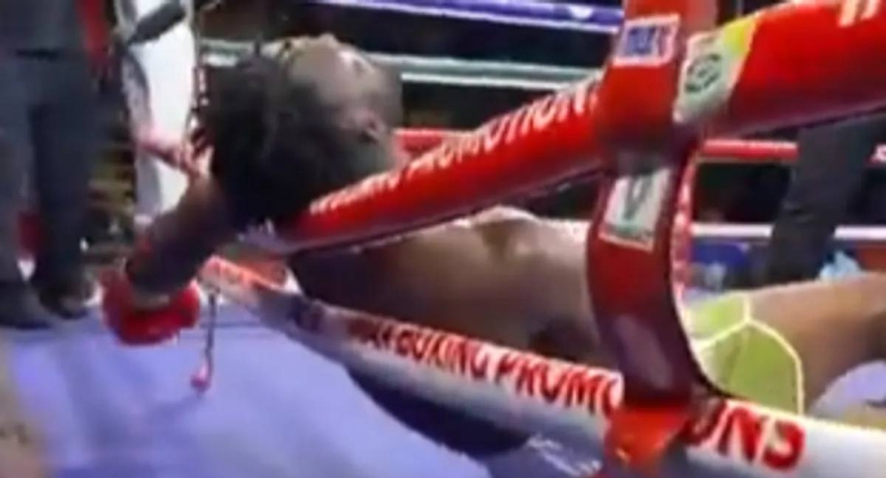 %d8%b3%d9%82%d8%b7 %d8%a8%d9%84%d8%a7 %d8%b6%d8%b1%d8%a8%d8%a9 %d9%88%d9%81%d8%a7%d8%a9 %d9%85%d9%84%d8%a7%d9%83%d9%85 %d9%86%d9%8a%d8%ac%d9%8a%d8%b1%d9%8a %d8%ae%d9%84%d8%a7%d9%84 %d9%85%d8%a8