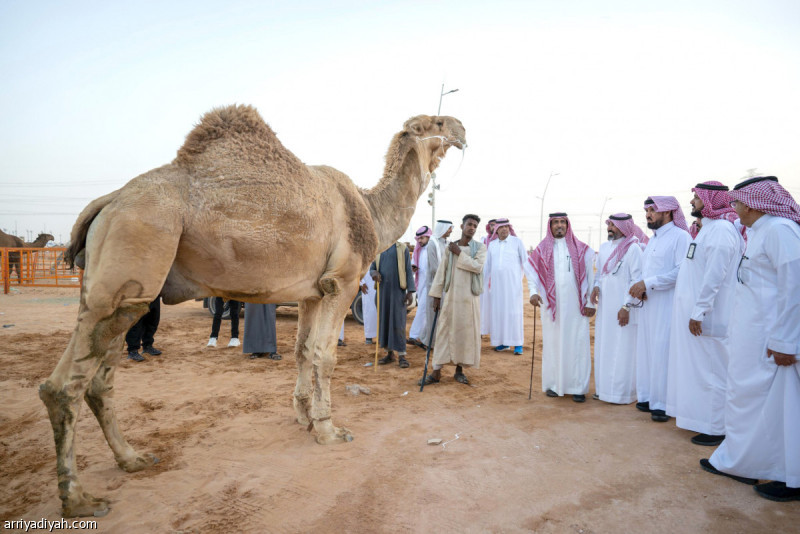 %d8%a2%d9%84 %d8%b3%d9%84%d8%b7%d8%a7%d9%86 %d9%8a%d9%82%d9%81 %d8%b9%d9%84%d9%89 %d9%85%d8%b2%d8%a7%d8%af %d8%a7%d9%84%d8%a5%d8%a8%d9%84