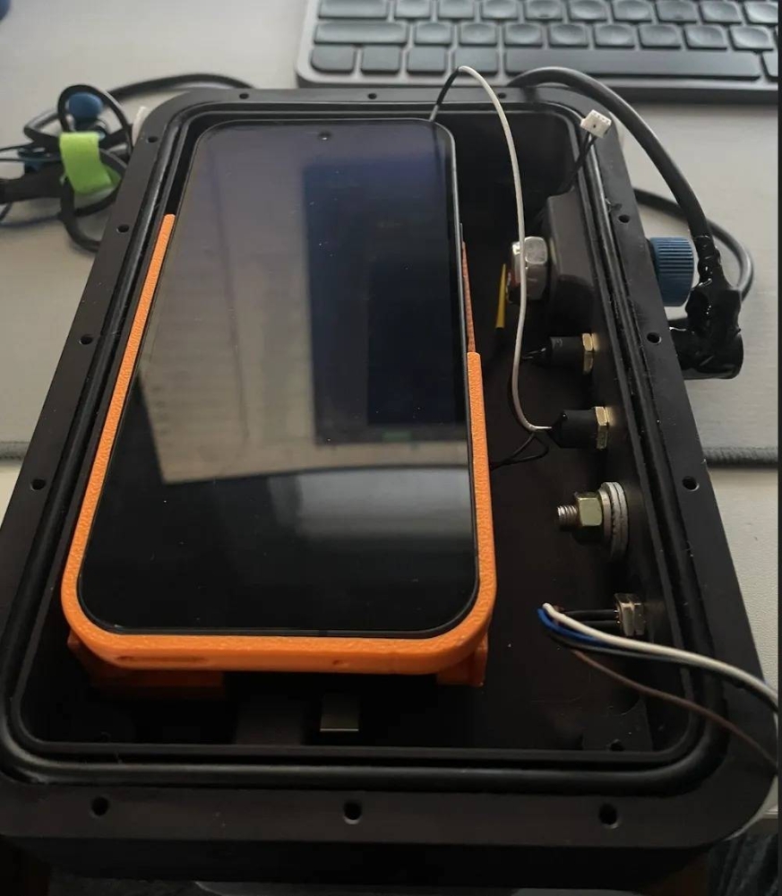 ثورة علمية.. نموذج ذكاء اصطناعي يفتح باب التواصل مع الدلافين