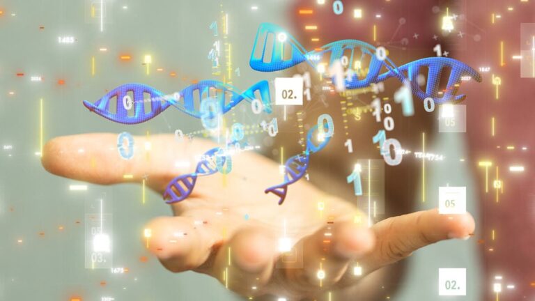 %d8%a3%d8%a8%d8%ad%d8%a7%d8%ab %d8%a7%d9%84%d8%ad%d9%85%d8%b6 %d8%a7%d9%84%d9%86%d9%88%d9%88%d9%8a %d9%82%d8%af %d8%aa%d9%83%d9%88%d9%86 %d9%87%d8%af%d9%81%d8%a7%d9%8b %d9%84%d9%82%d8%b1%d8%a7%d8%b5