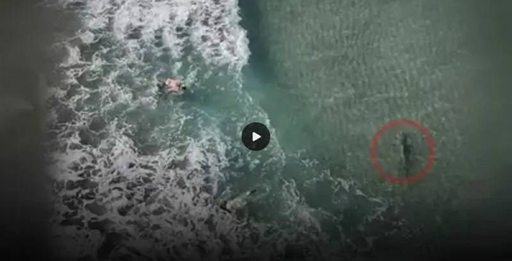 %d9%82%d8%b1%d8%b4 %d8%b6%d8%ae%d9%85 %d9%8a%d8%b7%d8%a7%d8%b1%d8%af %d8%ba%d9%88%d8%a7%d8%b5%d9%8a%d9%86 %d9%81%d9%8a %d9%81%d9%84%d9%88%d8%b1%d9%8a%d8%af%d8%a7