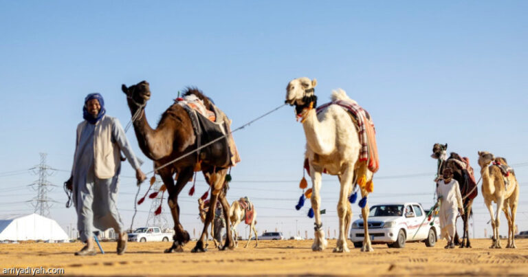 %d9%85%d8%b2%d8%a7%d8%af %d8%a7%d9%84%d8%ac%d9%88%d9%81 %d8%b5%d9%81%d9%82%d8%a7%d8%aa %d9%85%d9%84%d9%8a%d9%88%d9%86%d9%8a%d8%a9 %d9%88160 %d9%85%d8%b3%d8%aa%d8%ab%d9%85%d8%b1%d8%a7