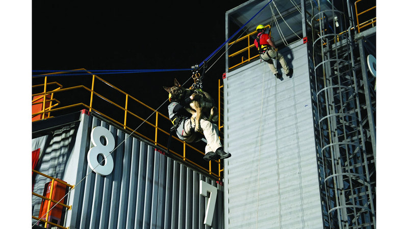 وحدة في دورة «الإنزال بالحبال لوحدات الكلاب البوليسية K9»14