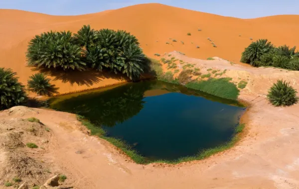 %d8%a7%d9%86%d8%b6%d9%85%d8%a7%d9%85 %d9%85%d9%88%d9%82%d8%b9%d9%8a %d8%b4%d9%85%d8%a7%d9%84 %d8%a7%d9%84%d8%b1%d9%8a%d8%a7%d8%b6 %d9%88 %d8%b3%d9%84%d9%85%d9%89 %d8%a5%d9%84%d9%89 %d8%b4%d8%a8%d9%83