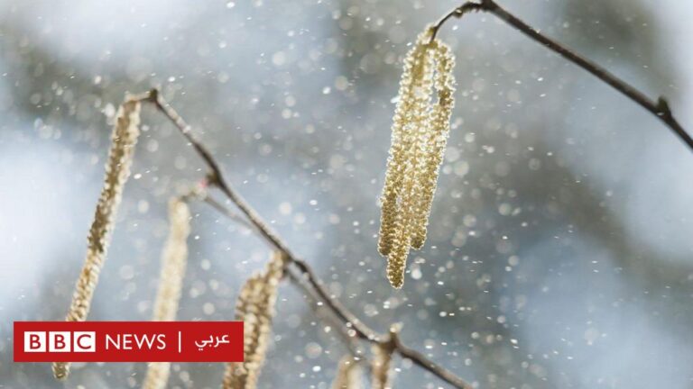 %d9%83%d9%8a%d9%81 %d9%8a%d8%a4%d8%af%d9%8a %d8%aa%d8%ba%d9%8a%d8%b1 %d8%a7%d9%84%d9%85%d9%86%d8%a7%d8%ae %d8%a5%d9%84%d9%89 %d8%aa%d9%81%d8%a7%d9%82%d9%85 %d9%85%d8%b4%d9%83%d9%84%d8%a9 %d8%a7%d9%84