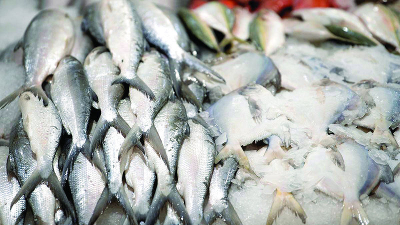 «الصال» و«الكنعد» الأكثر طلباً في رمضان بالفجيرة