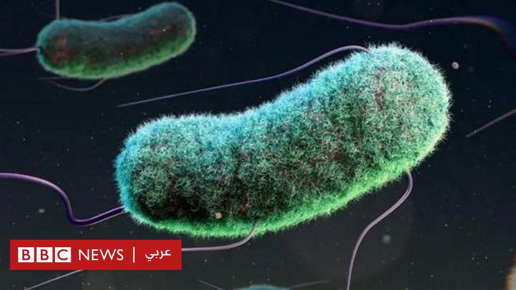 %d9%85%d9%82%d8%a7%d9%88%d9%85%d8%a9 %d8%a7%d9%84%d9%85%d8%b6%d8%a7%d8%af%d8%a7%d8%aa %d8%a7%d9%84%d8%ad%d9%8a%d9%88%d9%8a%d8%a9 %d9%85%d8%b1%d8%aa%d8%a8%d8%b7%d8%a9 %d8%a8%d9%88%d9%81%d8%a7%d8%a9 3