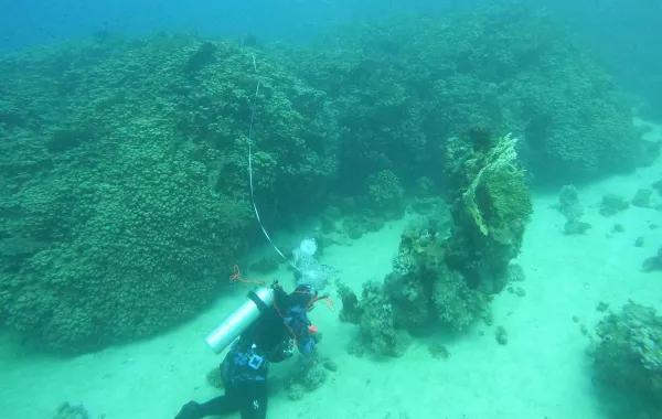 %d8%a7%d9%83%d8%aa%d8%b4%d8%a7%d9%81 %d9%85%d8%b0%d9%87%d9%84 %d8%a7%d9%84%d8%a8%d8%ad%d8%b1 %d8%a7%d9%84%d8%a3%d8%ad%d9%85%d8%b1 %d8%a7%d9%84%d8%af%d9%88%d9%84%d9%8a%d8%a9 %d8%aa%d9%83%d8%b4%d9%81