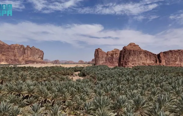 %d8%ae%d9%85%d8%b3 %d9%85%d9%8f%d8%af%d9%86 %d8%b3%d8%b9%d9%88%d8%af%d9%8a%d8%a9 %d8%b6%d9%85%d9%86 %d9%85%d8%a4%d8%b4%d8%b1 imd %d8%a7%d9%84%d8%b9%d8%a7%d9%84%d9%85%d9%8a %d9%84%d9%84%d9%85%d8%af