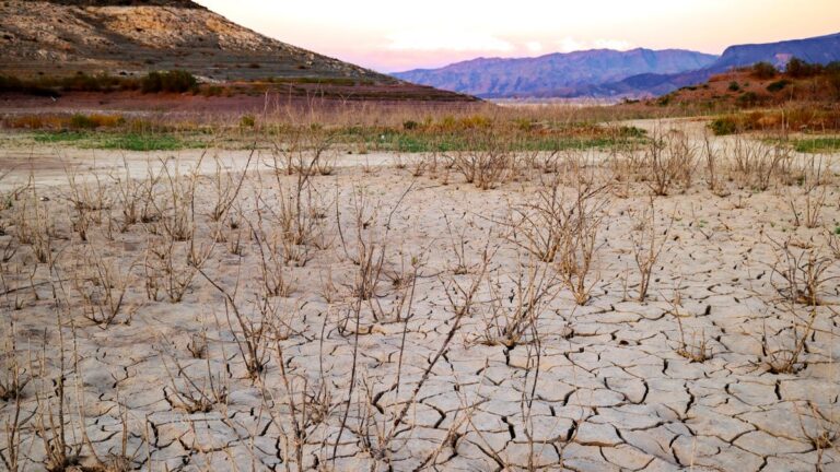 %d8%ac%d9%81%d8%a7%d9%81 %d8%a8%d8%ad%d8%b1 %d9%81%d9%8a %d8%a2%d8%b3%d9%8a%d8%a7 %d8%a7%d9%84%d9%88%d8%b3%d8%b7%d9%89 %d8%a3%d8%ab%d9%91%d8%b1 %d8%b9%d9%84%d9%89 %d8%ad%d8%b1%d9%83%d8%a9 %d8%a7