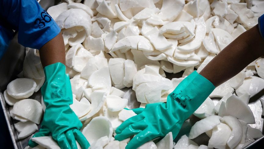 قفزة في أسعار جوز الهند وسط نقص المعروض والطقس السيئ