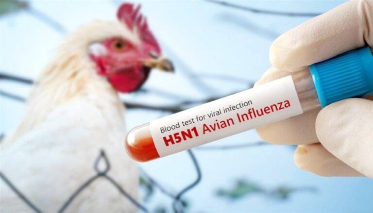 %d9%87%d9%84 %d8%aa%d8%aa%d8%ad%d9%88%d9%84 %d8%a5%d9%86%d9%81%d9%84%d9%88%d9%86%d8%b2%d8%a7 %d8%a7%d9%84%d8%b7%d9%8a%d9%88%d8%b1 %d8%a5%d9%84%d9%89 %d8%ac%d8%a7%d8%a6%d8%ad%d8%a9 %d8%aa%d9%87%d8%af