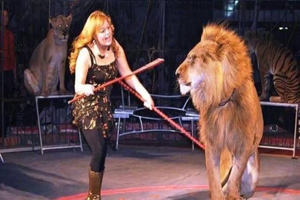 %d9%85%d8%b5%d8%b1 %d8%a3%d8%b2%d9%85%d8%a9 %d8%b3%d9%8a%d8%b1%d9%83 %d8%b7%d9%86%d8%b7%d8%a7 %d8%aa%d8%b5%d9%84 %d8%a7%d9%84%d8%a8%d8%b1%d9%84%d9%85%d8%a7%d9%86 %d9%88%d8%aa%d8%ad