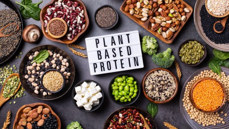 %d8%af%d8%b1%d8%a7%d8%b3%d8%a9 %d8%a7%d9%84%d8%a5%d9%83%d8%ab%d8%a7%d8%b1 %d9%85%d9%86 %d8%a7%d9%84%d8%a8%d8%b1%d9%88%d8%aa%d9%8a%d9%86%d8%a7%d8%aa %d8%a7%d9%84%d9%86%d8%a8%d8%a7%d8%aa%d9%8a%d8%a9