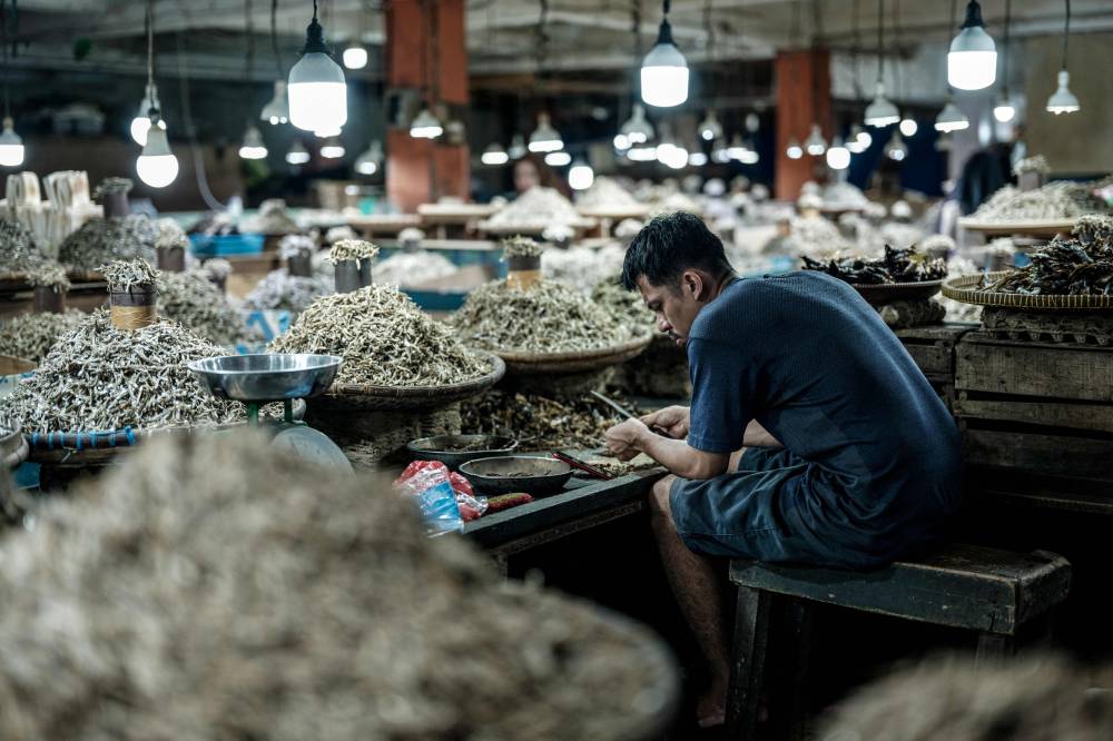 إندونيسيا بين عملاقين .. من يكسب معركة الشراكة التكنولوجية؟