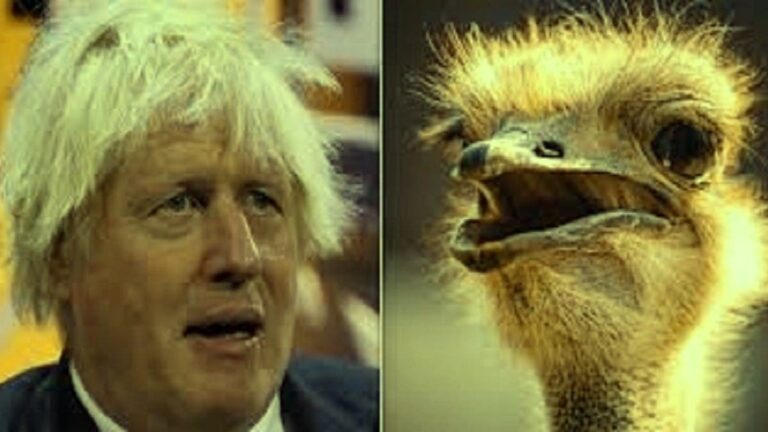 %d9%86%d8%b9%d8%a7%d9%85%d8%a9 %d8%a3%d9%85%d9%8a%d8%b1%d9%83%d9%8a%d8%a9 %d8%aa%d8%b9%d8%b6 %d8%a8%d9%88%d8%b1%d9%8a%d8%b3 %d8%ac%d9%88%d9%86%d8%b3%d9%88%d9%86 %d9%86%d9%82%d8%b1%d8%a7%d9%8b