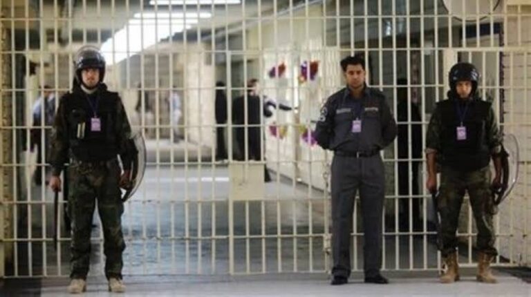 %d8%b3%d8%ac%d9%8a%d9%86 %d8%a3%d9%84%d9%85%d8%a7%d9%86%d9%8a %d9%8a%d9%82%d8%aa%d9%84 %d8%b2%d9%88%d8%ac%d8%aa%d9%87 %d8%af%d8%a7%d8%ae%d9%84 %d8%ba%d8%b1%d9%81%d8%a9 %d8%a7%d9%84%d8%b2%d9%8a%d8%a7