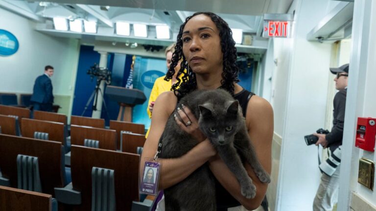 %d9%82%d8%b7%d8%a9 %d8%ba%d8%b1%d9%8a%d8%a8%d8%a9 %d8%aa%d8%aa%d8%b3%d9%84%d9%84 %d9%84%d9%84%d8%a8%d9%8a%d8%aa %d8%a7%d9%84%d8%a3%d8%a8%d9%8a%d8%b6 %d9%88%d8%aa%d8%af%d8%ae%d9%84 %d8%ba%d8%b1