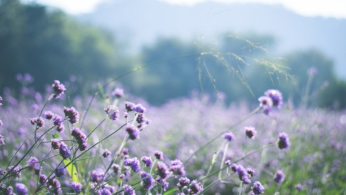 %d9%84%d9%88%d9%86 %d9%86%d8%b1%d8%a7%d9%87 %d9%84%d9%83%d9%86%d9%87 %d8%ba%d9%8a%d8%b1 %d9%85%d9%88%d8%ac%d9%88%d8%af %d9%88%d8%b9%d9%84%d9%85%d8%a7%d8%a1 %d9%8a%d8%a4%d9%83%d8%af%d9%88%d9%86