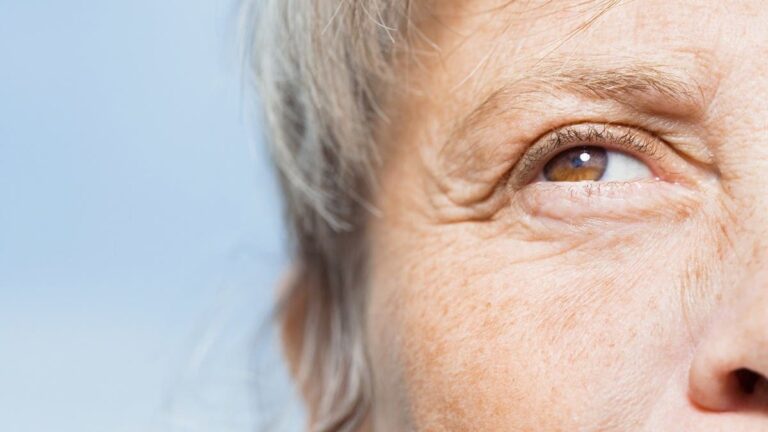 %d9%84%d9%82%d9%88%d8%a9 %d8%a7%d9%84%d8%a8%d8%b5%d8%b1 %d8%a7%d9%84%d8%aa%d8%ba%d8%b0%d9%8a%d8%a9 %d8%a7%d9%84%d8%ac%d9%8a%d8%af%d8%a9 %d8%ad%d9%84 %d8%b3%d8%ad%d8%b1%d9%8a