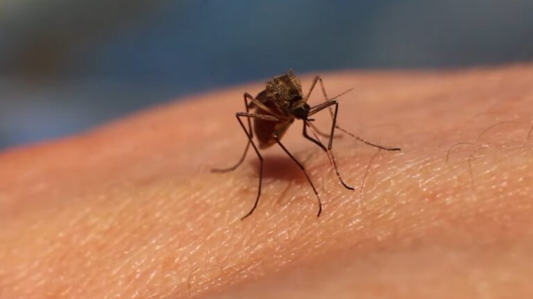 %d8%a7%d9%84%d8%ad%d9%85%d9%89 %d8%a7%d9%84%d8%b5%d9%81%d8%b1%d8%a7%d8%a1 %d8%aa%d8%ac%d8%a8%d8%b1 %d9%83%d9%88%d9%84%d9%88%d9%85%d8%a8%d9%8a%d8%a7 %d8%b9%d9%84%d9%89 %d8%a5%d8%b9%d9%84%d8%a7%d9%86